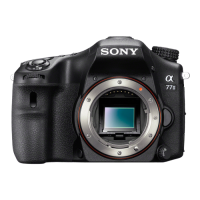 Lens Cameras (6)